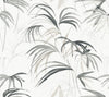 Inky Palms Wallpaper Wallpaper Candice Olson Double Roll Black 