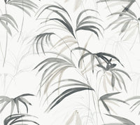 Inky Palms Wallpaper Wallpaper Candice Olson Double Roll Black 