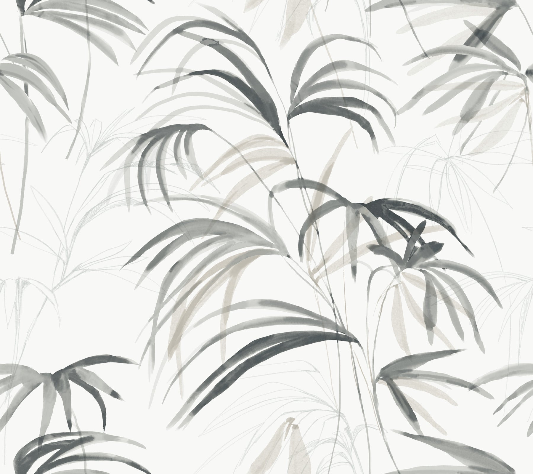 Inky Palms Wallpaper Wallpaper Candice Olson Double Roll Black 