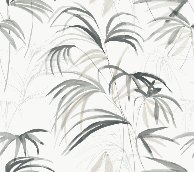 Inky Palms Wallpaper Wallpaper Candice Olson Double Roll Black 