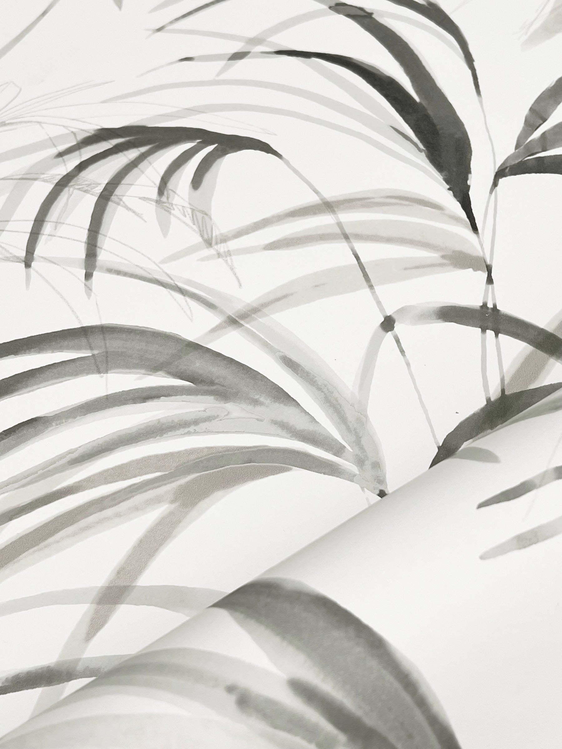 Inky Palms Wallpaper Wallpaper Candice Olson   