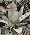 Tropical Cabana Wallpaper Wallpaper Candice Olson Double Roll Black 