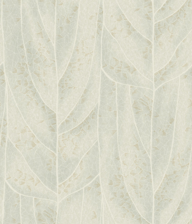 Dicot Spa Leaf Wallpaper Wallpaper Candice Olson Double Roll Light Green 