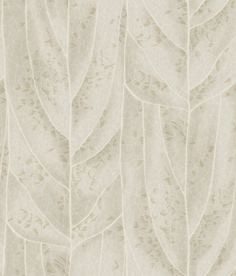 Dicot Spa Leaf Wallpaper Wallpaper Candice Olson Double Roll Beige 