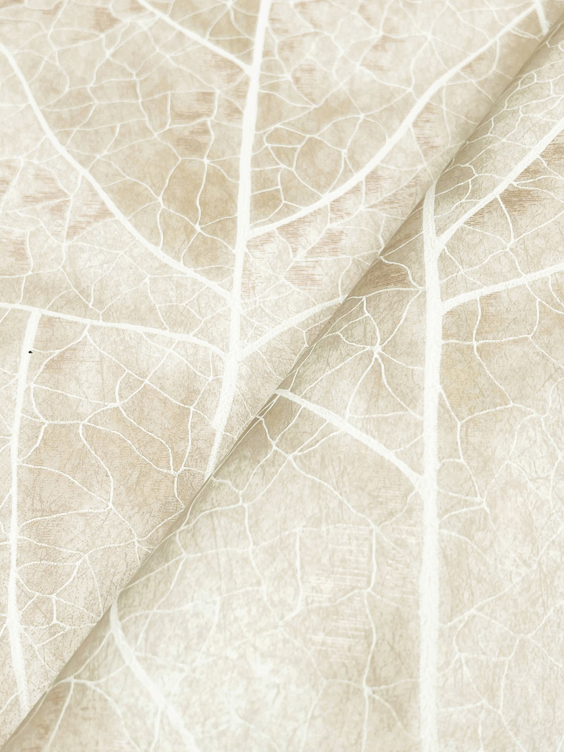 Dicot Spa Leaf Wallpaper Wallpaper Candice Olson   