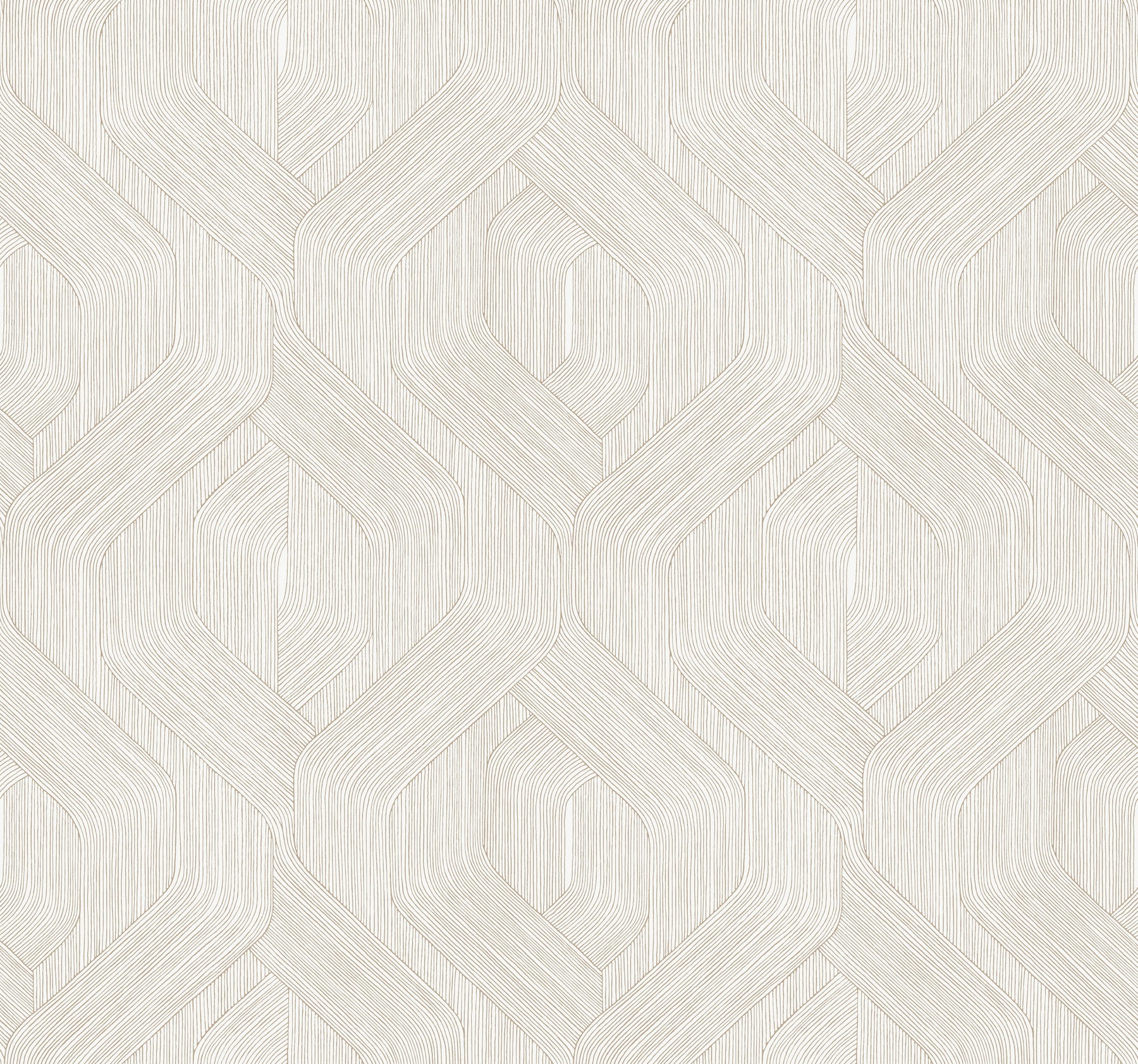 Fine Line Geometric Wallpaper Wallpaper Candice Olson Double Roll Taupe on White 