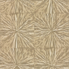 Squareburst Wallpaper by York Wallcoverings features an abstract pattern of beige and brown starburst shapes with radiating lines intersecting in a six-section grid, creating a symmetrical, textured effect reminiscent of wood grain or cracked earth.