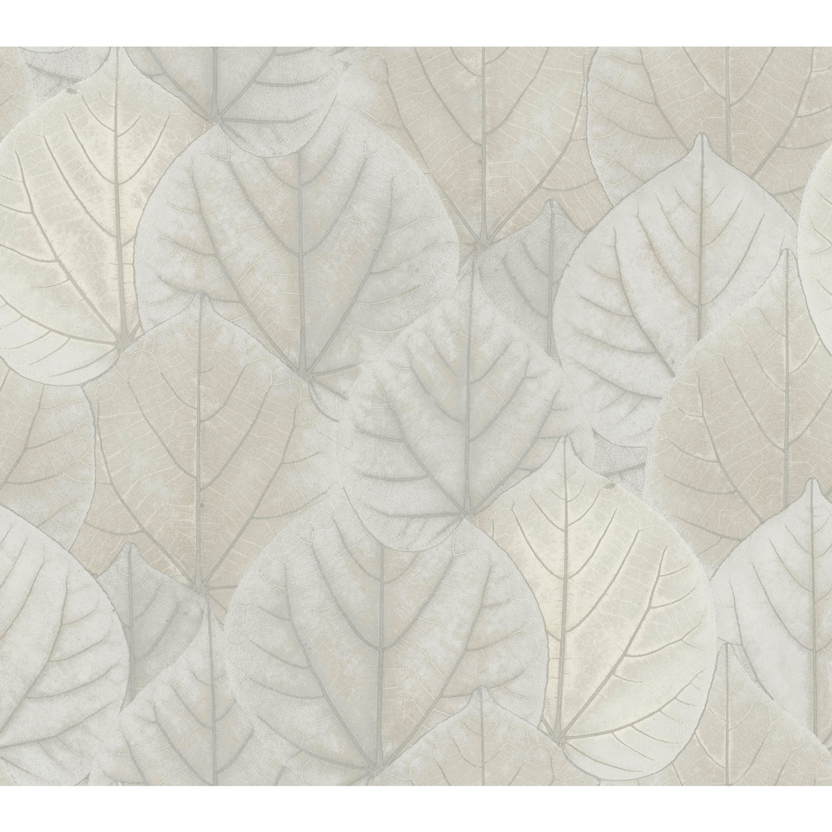 Candice Olson Leaf Concerto Wallpaper featuring a pattern of overlapping, neutral-toned skeletonized leaves with visible veins.