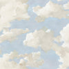 PSW1079RL-peel-and-stick-wallpaper-main-product-image