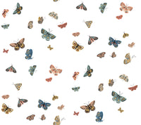 Butterfly House Wallpaper P&S Wallpaper Rifle Paper Co. Roll White