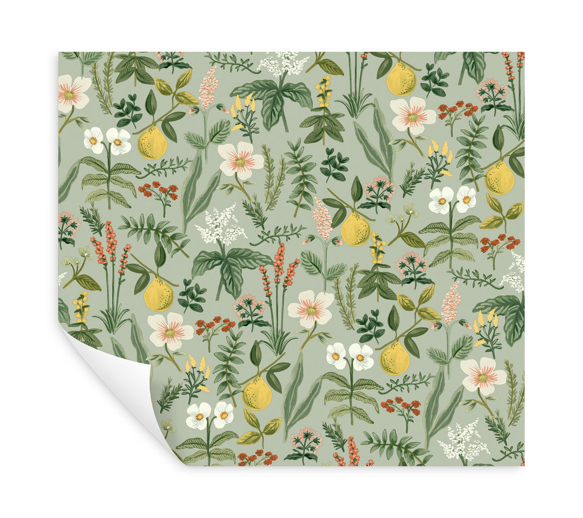 PSW1675RL-peel-and-stick-wallpaper-peel-application-step