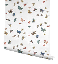 Butterfly House Wallpaper Wallpaper Rifle Paper Co.   