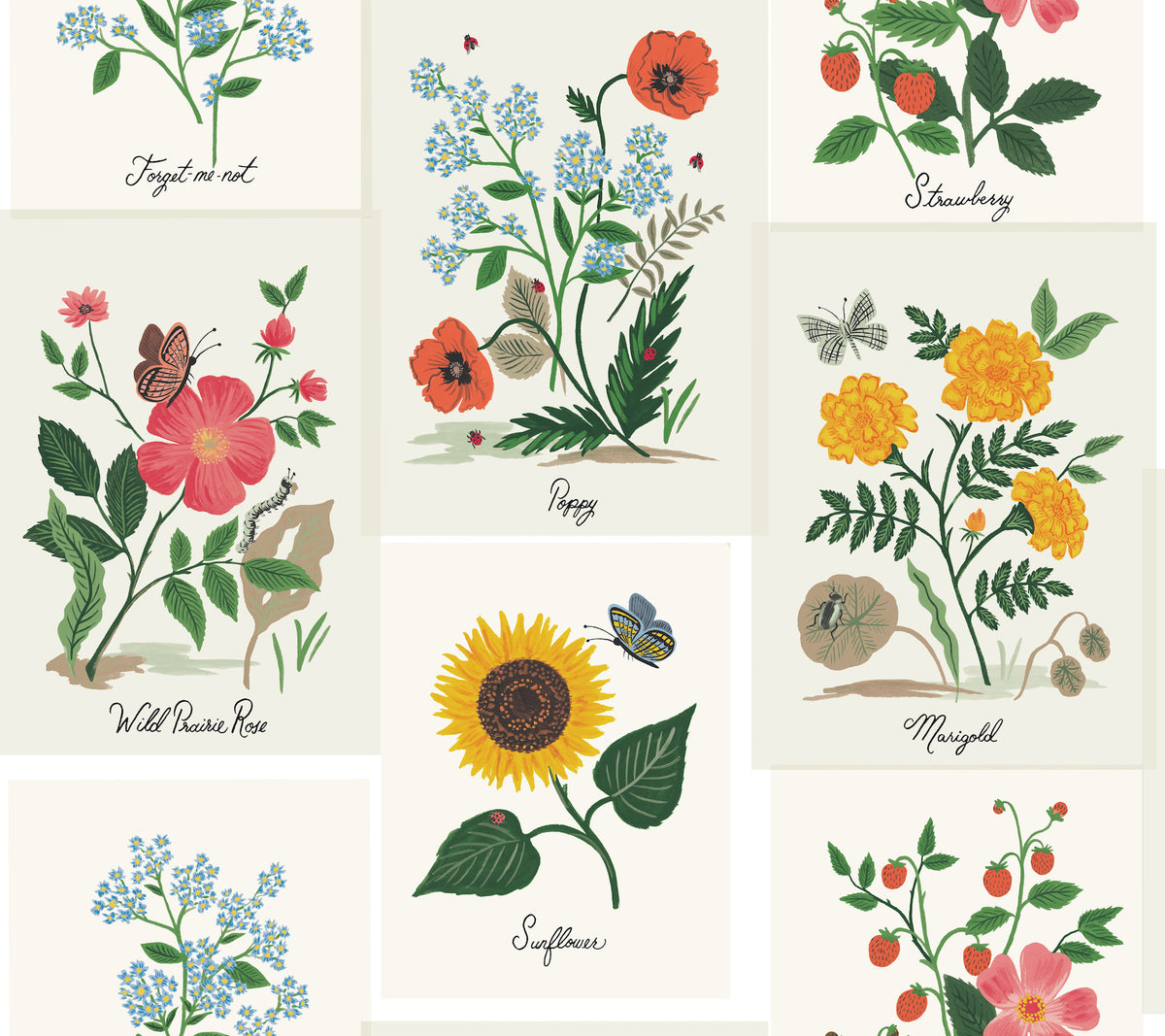 RP7334-peel-and-stick-wallpaper-main-product-image