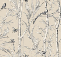 Bambou Toile Wallpaper Wallpaper York Wallcoverings Double Roll Beige 