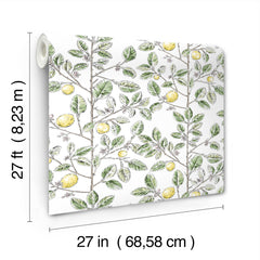 RT7911-peel-and-stick-wallpaper-product-dimensions