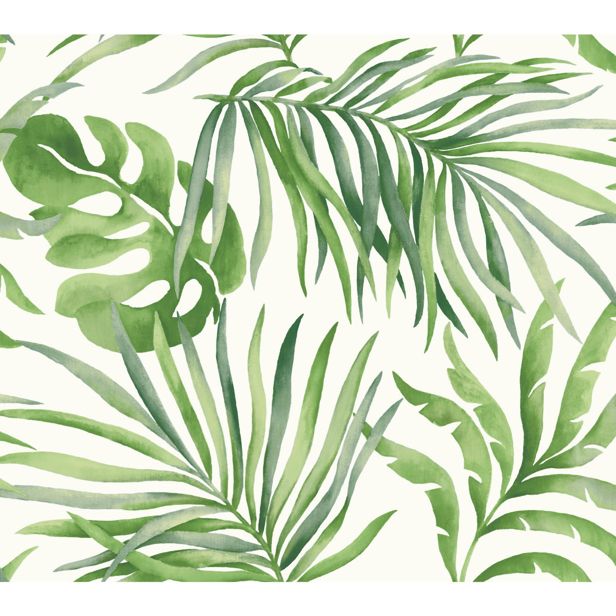 Paradise Palm wallpaper featuring a watercolor pattern of overlapping green palm and monstera leaves on a white background.