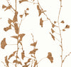 VR1509-peel-and-stick-wallpaper-main-product-image