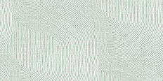 Patina – COTY 2026