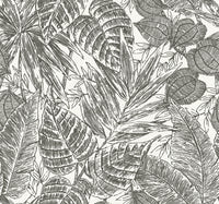 Brentwood Black Palm Leaves Wallpaper by Scott Living Wallpaper A-Street Prints Double Roll Black 