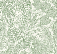 Brentwood Black Palm Leaves Wallpaper by Scott Living Wallpaper A-Street Prints Double Roll Green 