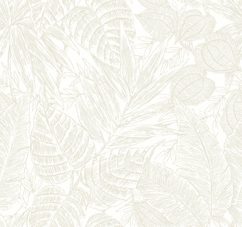 Brentwood Black Palm Leaves Wallpaper by Scott Living Wallpaper A-Street Prints Double Roll Bone 