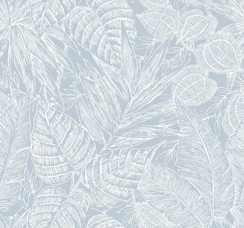 Brentwood Black Palm Leaves Wallpaper by Scott Living Wallpaper A-Street Prints Double Roll Sky Blue 