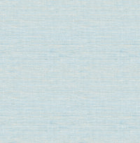 Agave Light Blue Faux Grasscloth Wallpaper Wallpaper A-Street Prints Double Roll Sky Blue 