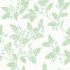 Ardell Light Green Botanical Wallpaper Wallpaper A-Street Prints Double Roll Light Green 