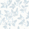 Ardell Light Green Botanical Wallpaper Wallpaper A-Street Prints Double Roll Light Blue 