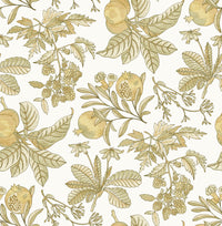 Cecilia Blue Fruit Wallpaper Wallpaper A-Street Prints Double Roll Honey 