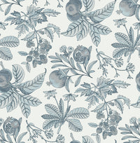 Cecilia Blue Fruit Wallpaper Wallpaper A-Street Prints Double Roll Light Blue 