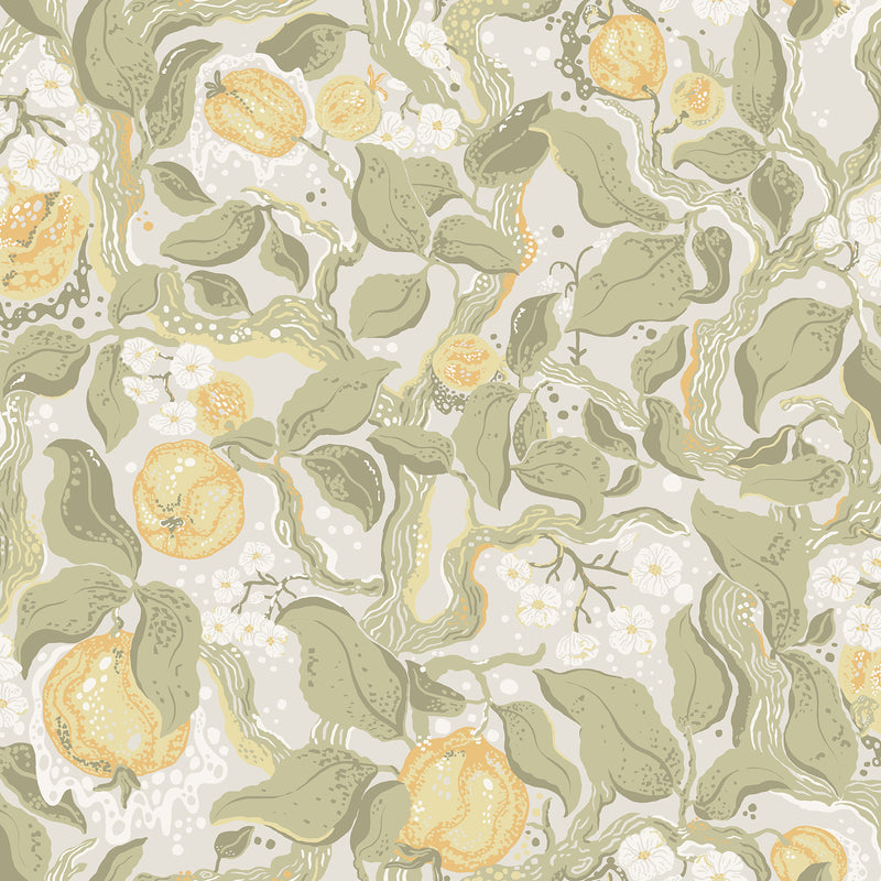 Kort Sage Fruit and Floral Wallpaper Wallpaper A-Street Prints Double Roll Sage 