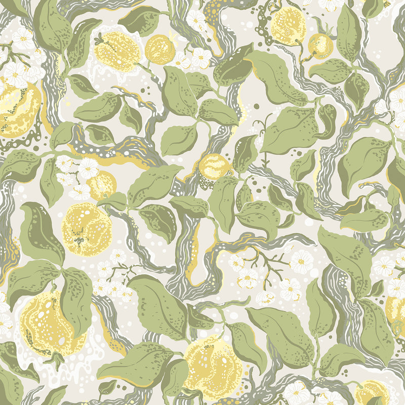 Kort Sage Fruit and Floral Wallpaper Wallpaper A-Street Prints Double Roll Yellow 