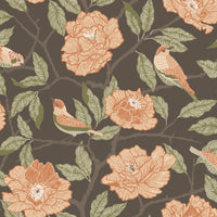 Bernadina Grey Rosebush Wallpaper Wallpaper A-Street Prints Double Roll Black 