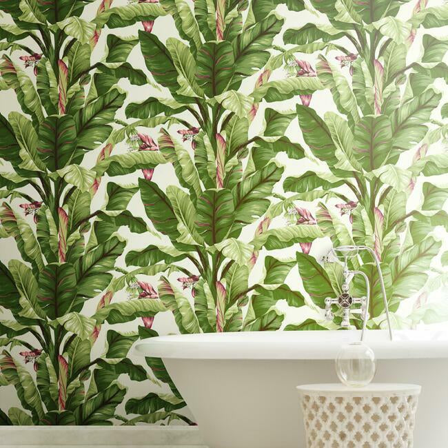 Banana Leaf Wallpaper Wallpaper Ashford House   