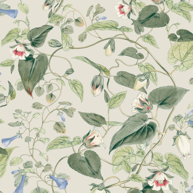 York Wallpaper Cream Vine selling With Berries Flowers 4 Double Rolls 56 Sq Ft NEW