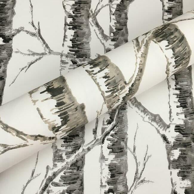 Paper Birch Wallpaper Wallpaper York   