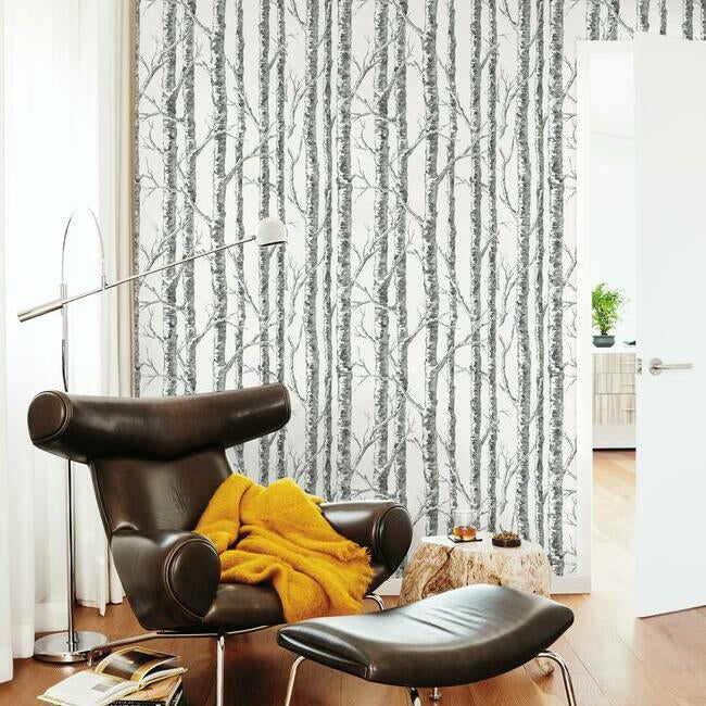 Paper Birch Wallpaper Wallpaper York   