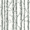 Paper Birch Wallpaper Wallpaper York Double Roll Black/White 