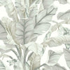 Banana Leaf Wallpaper Wallpaper York Double Roll Light Neutral 