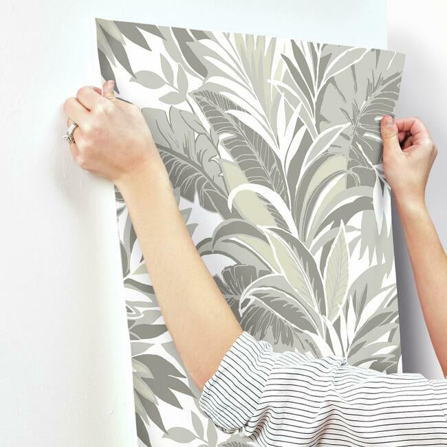 Palm Silhouette Wallpaper – York Wallcoverings