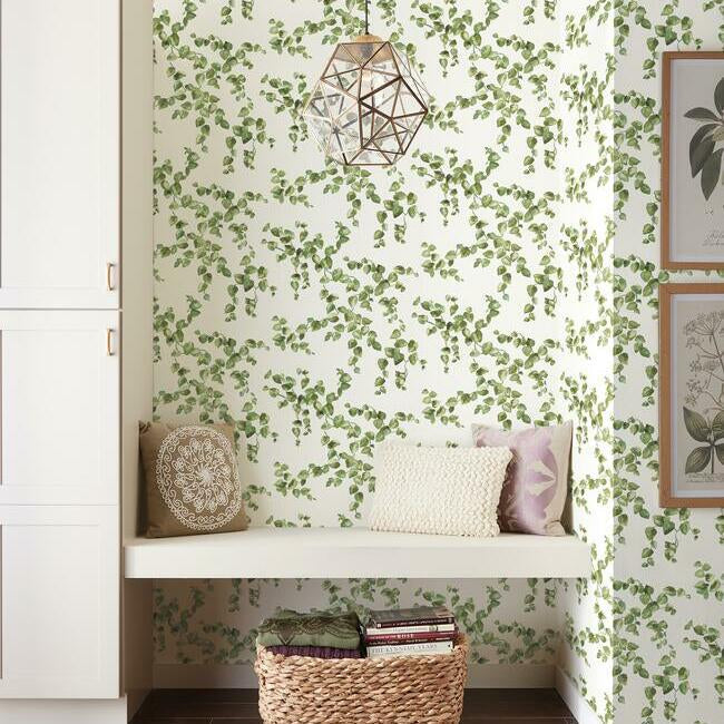 Creeping Fig Vine Wallpaper – York Wallcoverings