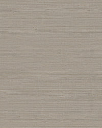 Maguey Silver and Taupe Sisal Wallpaper Wallpaper York Yard Silver and Taupe 