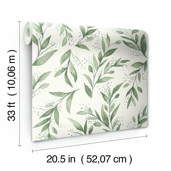 Olive Branch Wallpaper  Flixprint