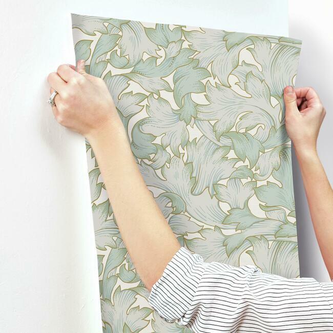 Acanthus Toss Wallpaper – York Wallcoverings