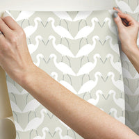Elegant Birds Premium Peel + Stick Wallpaper Peel and Stick Wallpaper York   