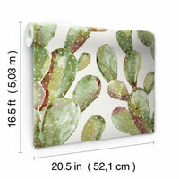 Prickly Pear Cactus Peel and Stick Wallpaper Peel and Stick Wallpaper RoomMates   