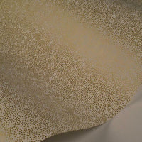 Champagne Dots Wallpaper Wallpaper Rifle Paper Co.   