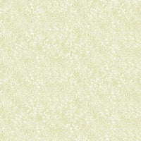 Champagne Dots Wallpaper Wallpaper Rifle Paper Co. Double Roll Gold & White 