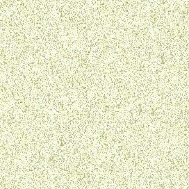 Champagne Dots Wallpaper Wallpaper Rifle Paper Co. Double Roll Gold & White 